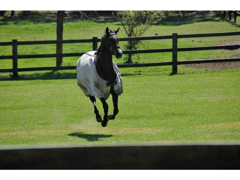 8 Chadd Street, Galston NSW 2159