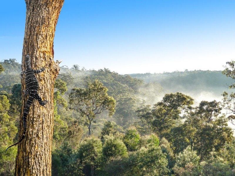 Lot 6, 83a Cattai Ridge Road, Glenorie NSW 2157