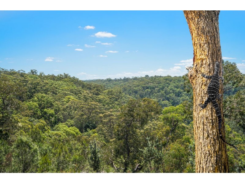 Lot 6, 83a Cattai Ridge Road, Glenorie NSW 2157