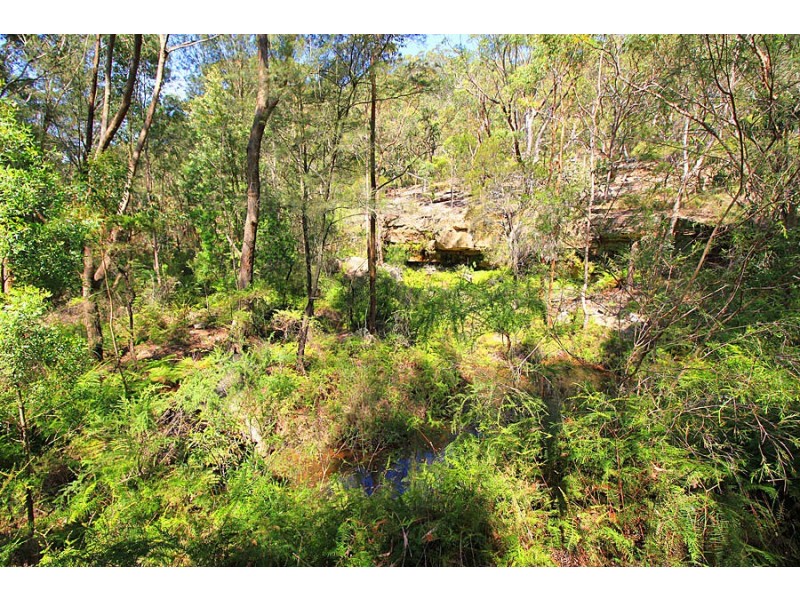 141 Arcadia Road, Arcadia NSW 2159