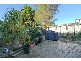 107 Trafalgar Street, Annandale NSW 2038