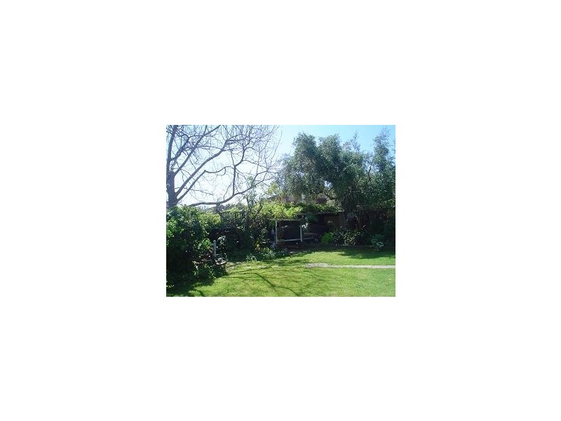 27 Carrington Street, North Strathfield NSW 2137