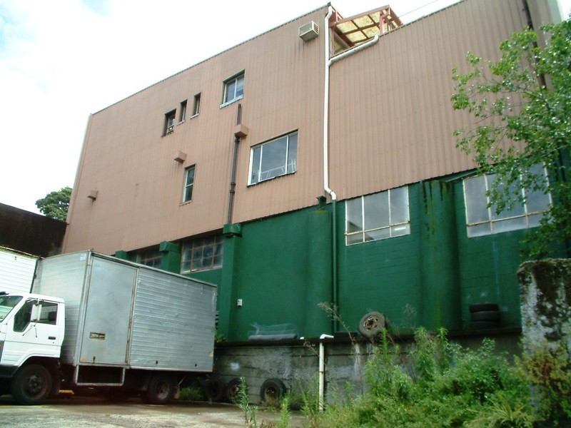 233B Johnston Street, Annandale NSW 2038