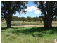 Tenterfield NSW 2372