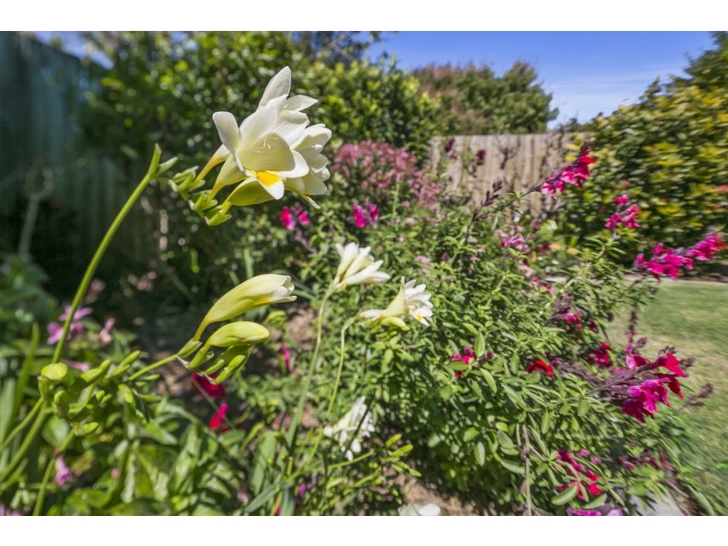 4 DUNWICH STREET, Cleveland QLD 4163