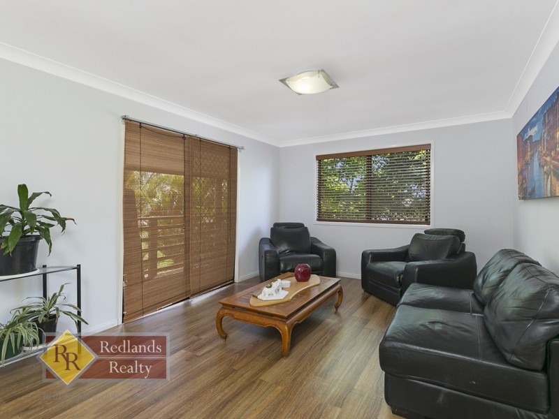 59 Spoonbill Street, Birkdale QLD 4159