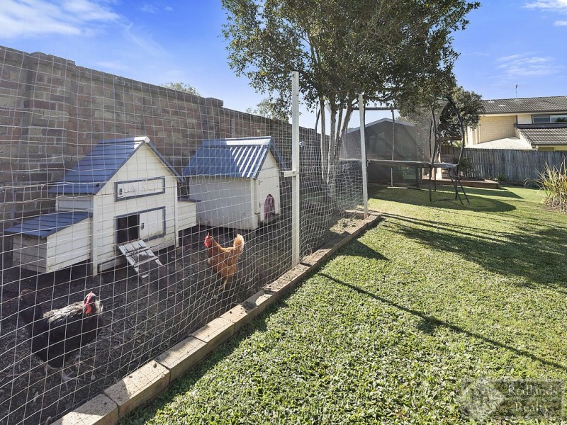 10 Ashwood Circuit, Birkdale QLD 4159