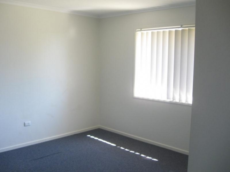 5 Parakeet Street, Birkdale QLD 4159