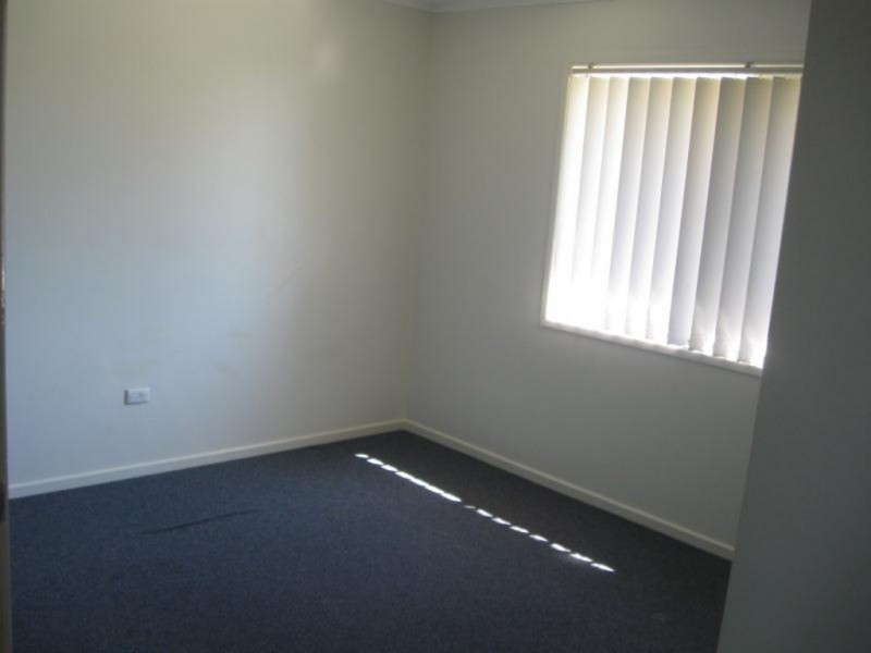 5 Parakeet Street, Birkdale QLD 4159