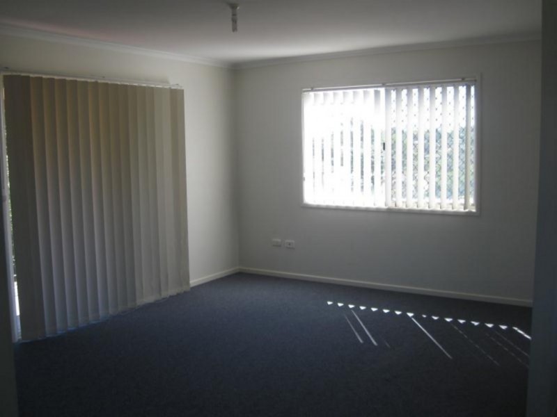 5 Parakeet Street, Birkdale QLD 4159