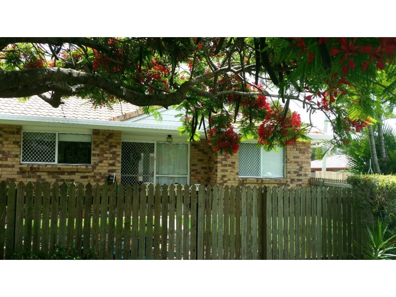 1/91 Wynyard Street, Cleveland QLD 4163