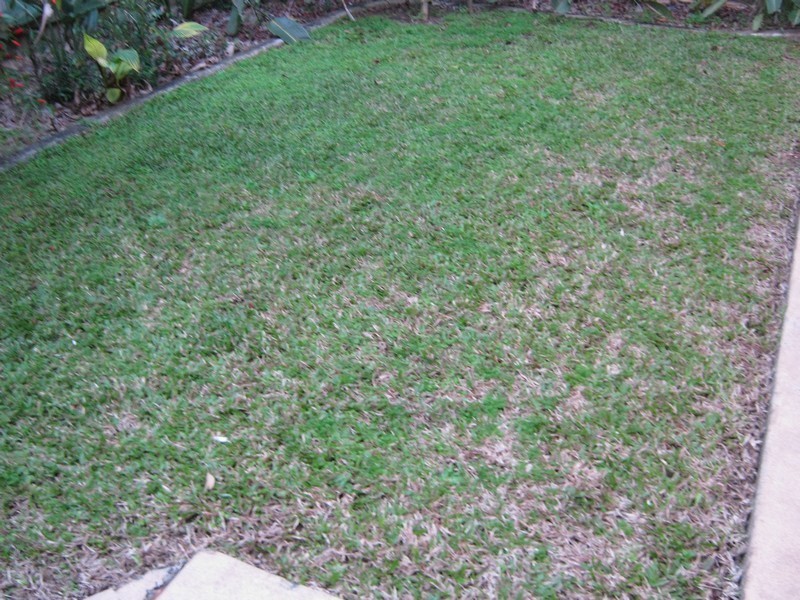 24/299 Main Road, Wellington Point QLD 4160