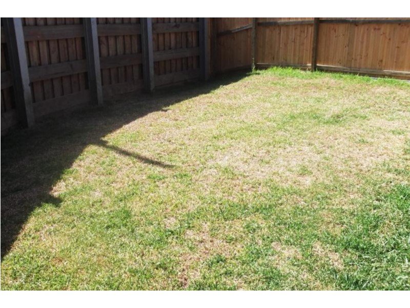 2/1 Riley Peter Place, Cleveland QLD 4163