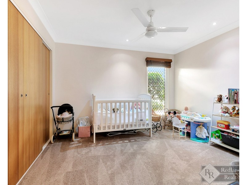 12 Mallan Terrace, Birkdale QLD 4159