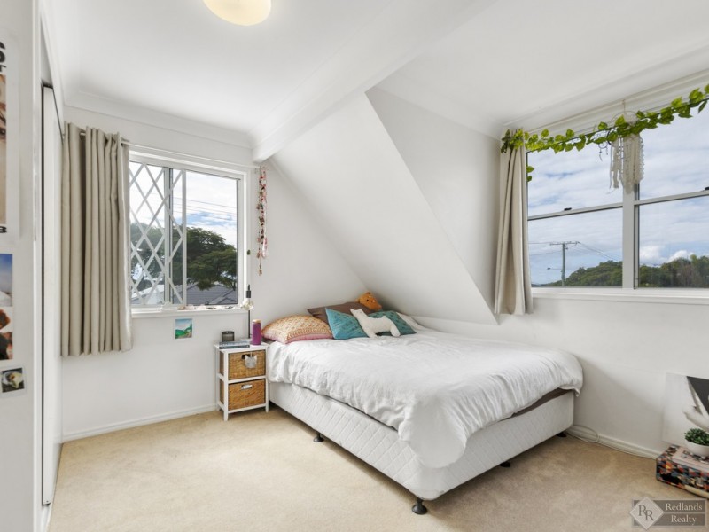 3 Plumer Street, Wellington Point QLD 4160