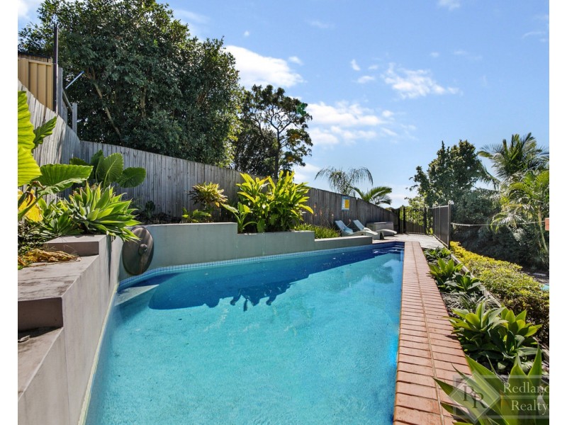 4 Gunsynd Court, Wellington Point QLD 4160