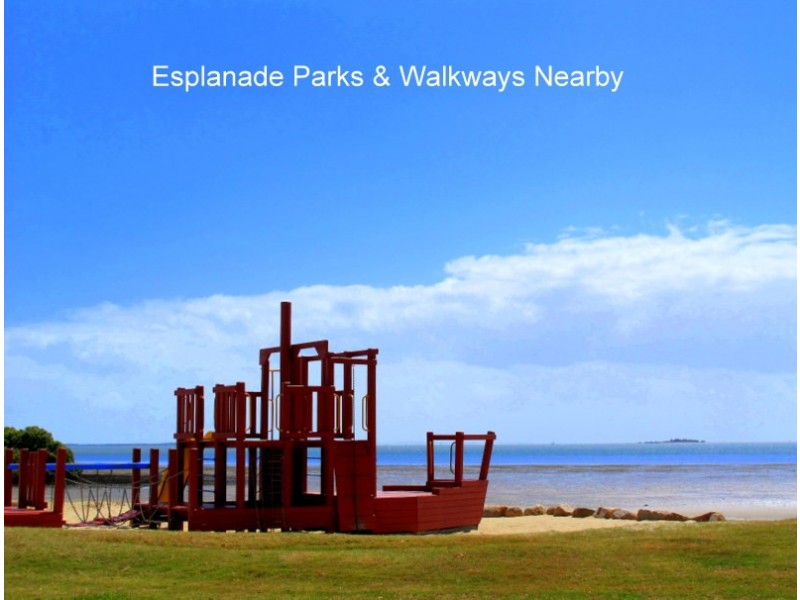 29A Claremont Street, Birkdale QLD 4159