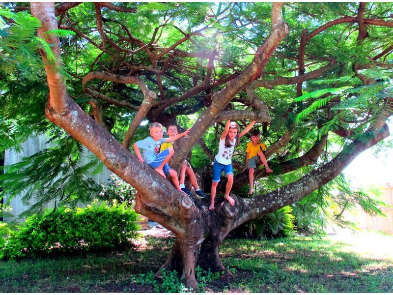 6 Sammys Place, Birkdale QLD 4159