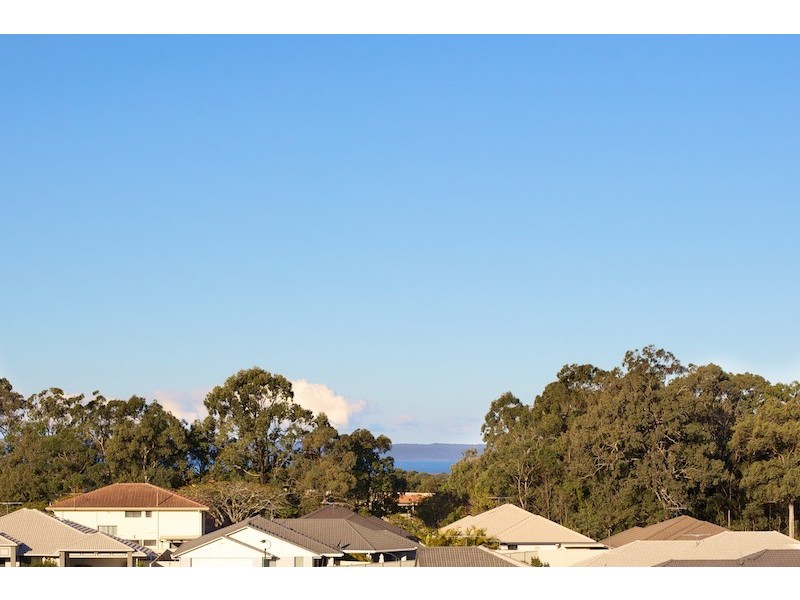 25 Ronnie Street, Cleveland QLD 4163