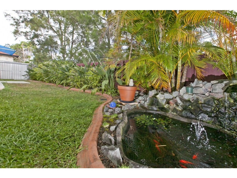 3 Bilby Court, Capalaba QLD 4157