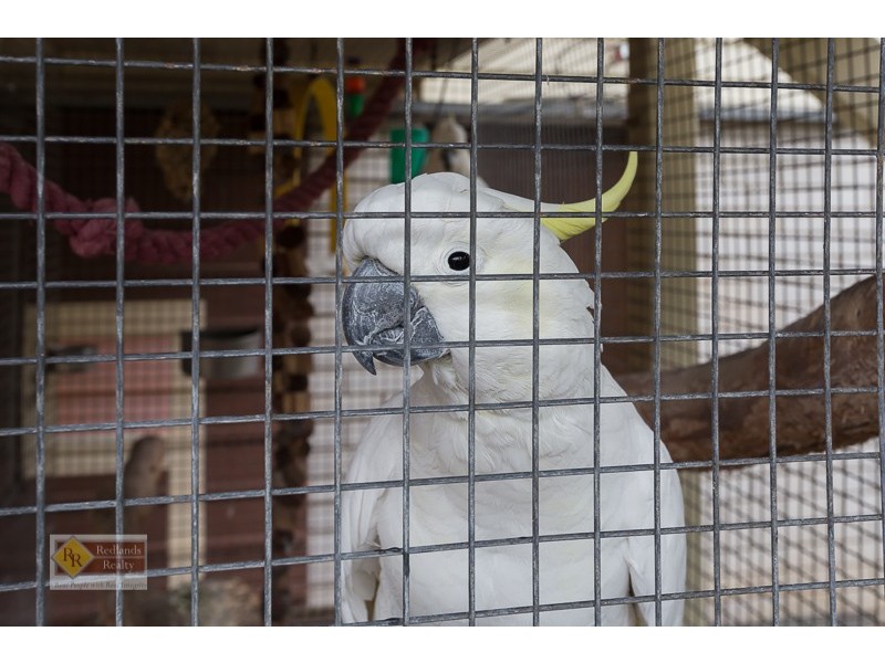 9 Bentham Street, Mount Gravatt QLD 4122