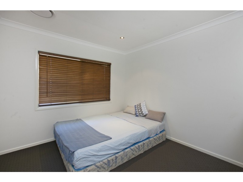 15 Kookaburra Street, Birkdale QLD 4159