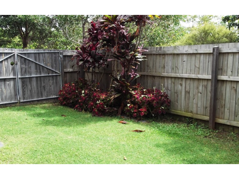 1/2 Jabiru Place, Cleveland QLD 4163