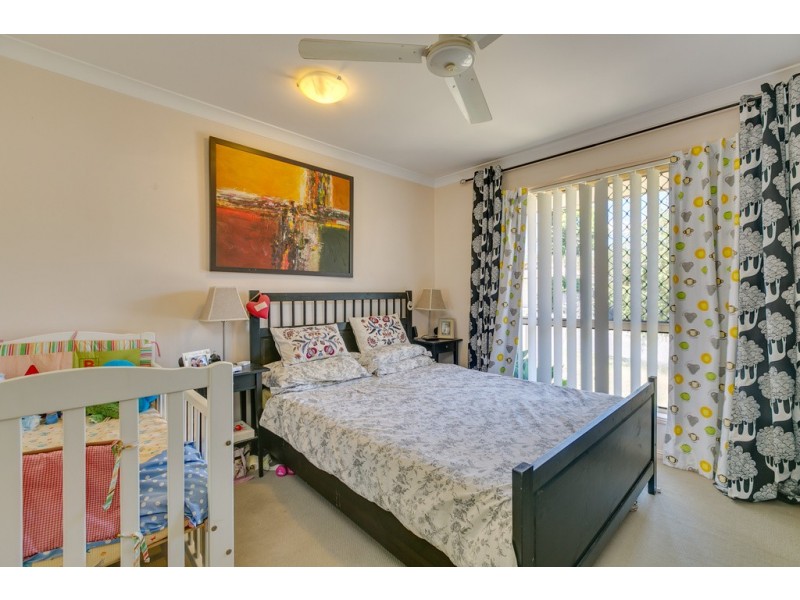 13 Elaine Place, Birkdale QLD 4159