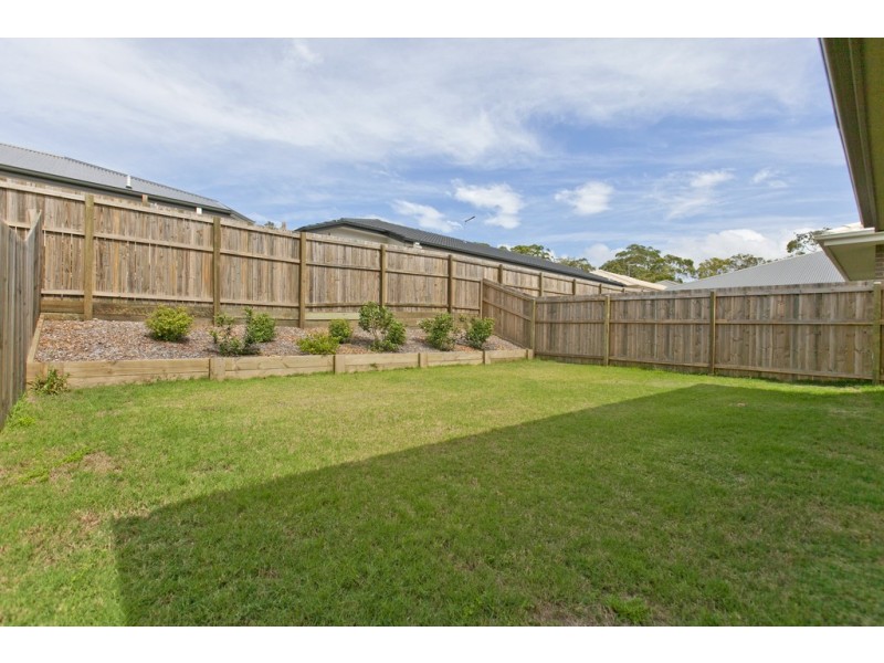 11 Riley Peter Place, Cleveland QLD 4163