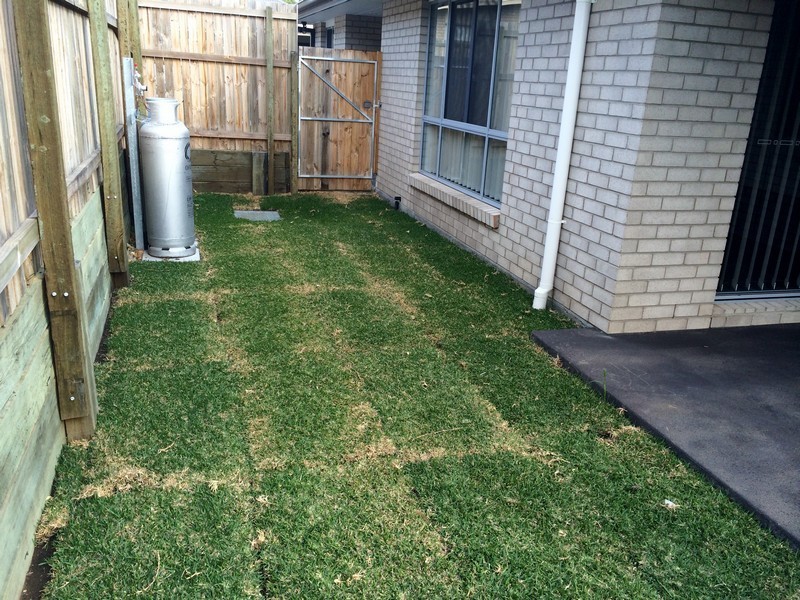 2/31 Riley Peter Place, Cleveland QLD 4163