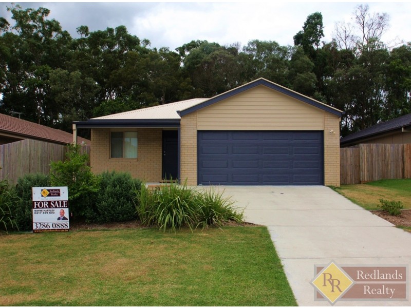 38 Riley Peter Place, Cleveland QLD 4163