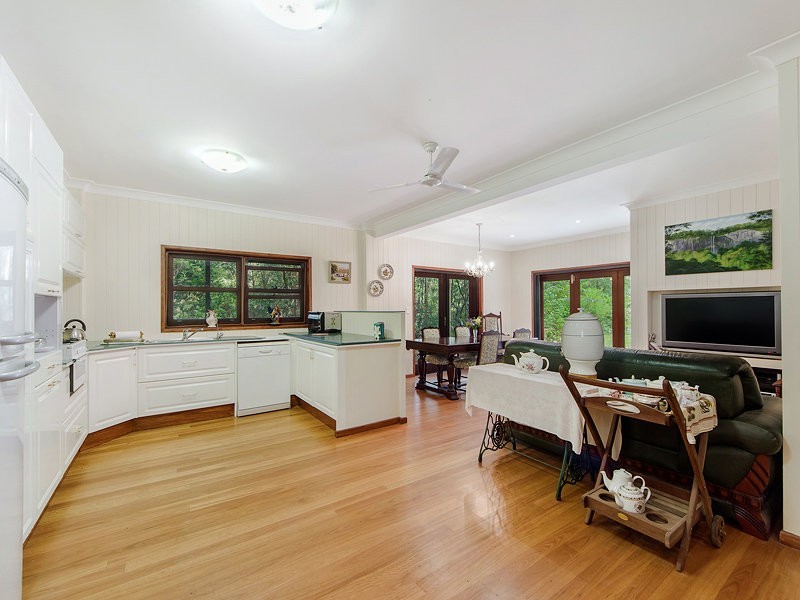 19 Natural Bridge Road, Natural Bridge QLD 4211