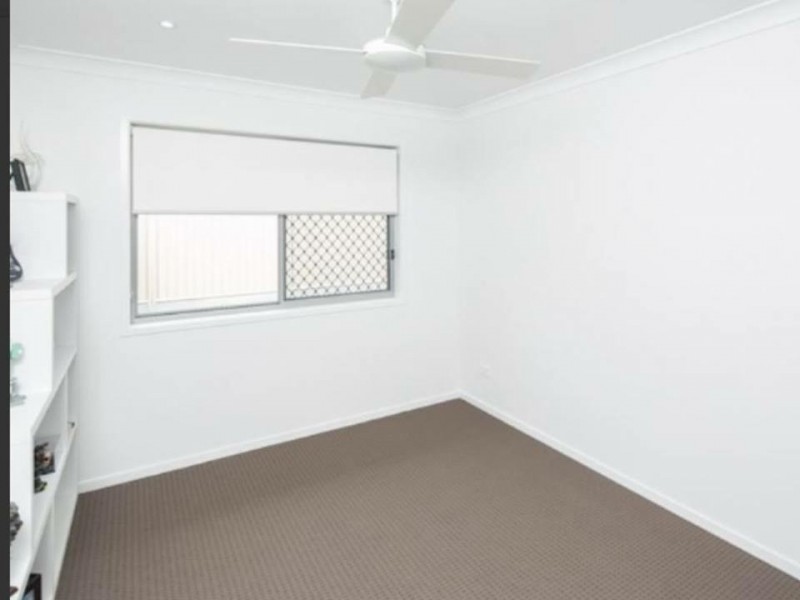 13 Radunz Place, Birkdale QLD 4159