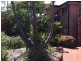 Sutherland NSW 2232