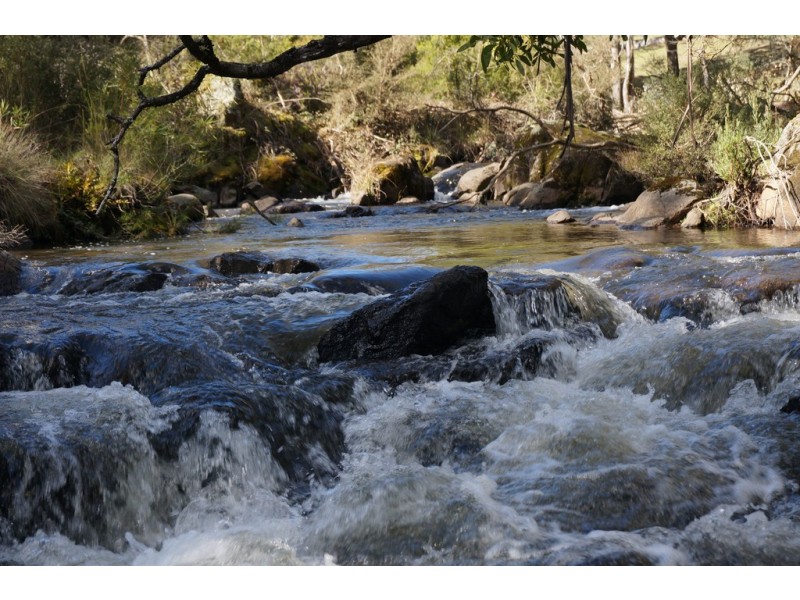 Maragle NSW 2653
