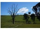 Maragle NSW 2653