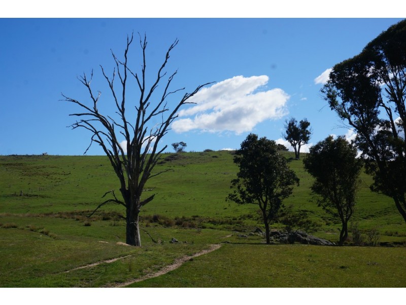 Maragle NSW 2653