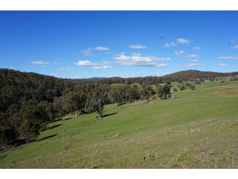 Maragle NSW 2653