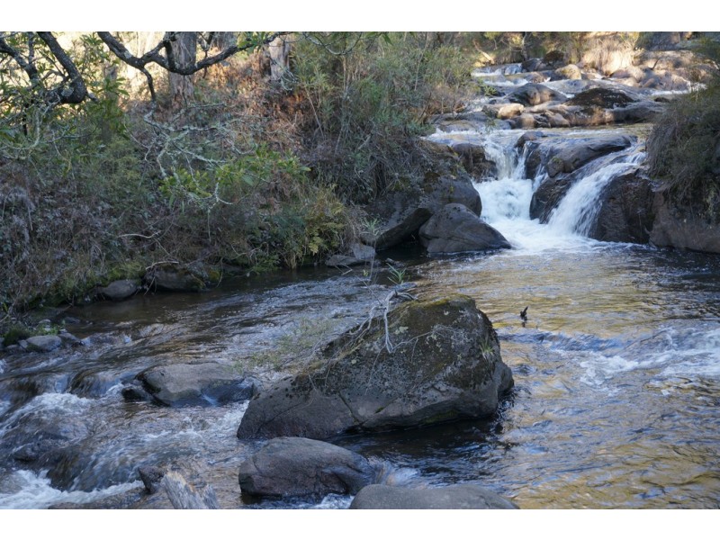 Maragle NSW 2653