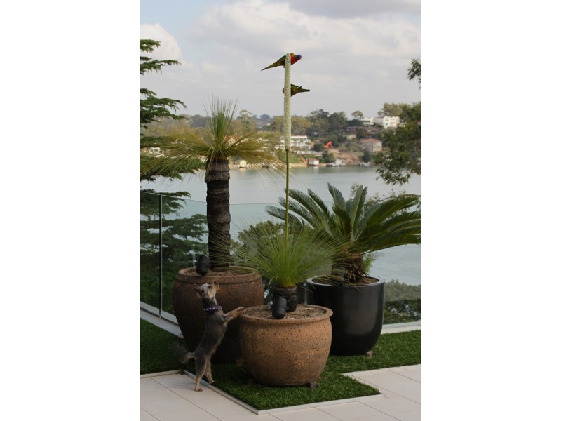 26/7 Murralin Lane, Sylvania NSW 2224