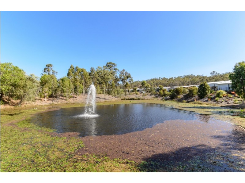 11 Grasstree Crescent, Kirkwood QLD 4680