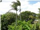 24 BELL STREET, Barney Point QLD 4680