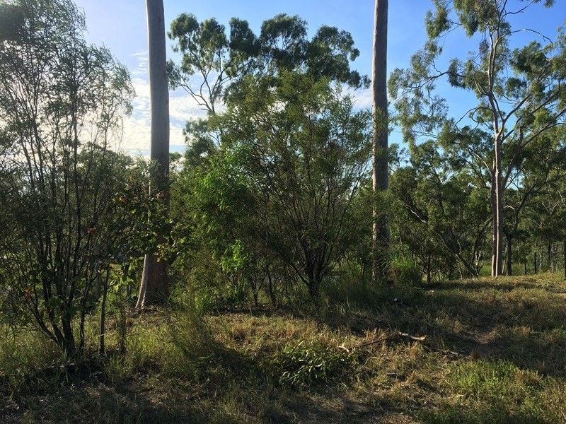 46 BARUBY BOULEVARD, Benaraby QLD 4680