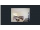 14/21 ROBERTS STREET, South Gladstone QLD 4680