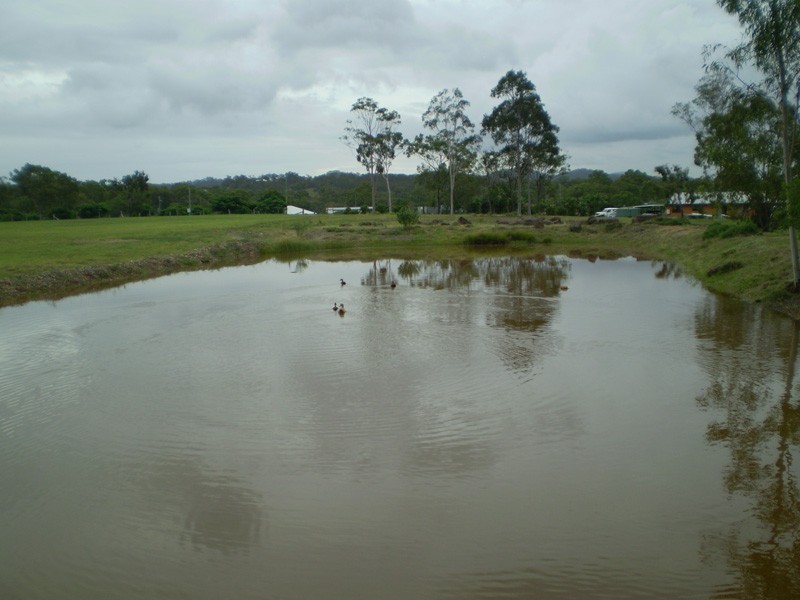 14 Ambrose Lane, Beecher QLD 4680