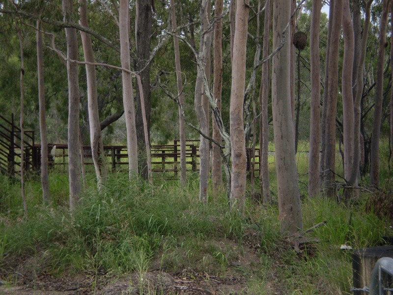 14 Ambrose Lane, Beecher QLD 4680