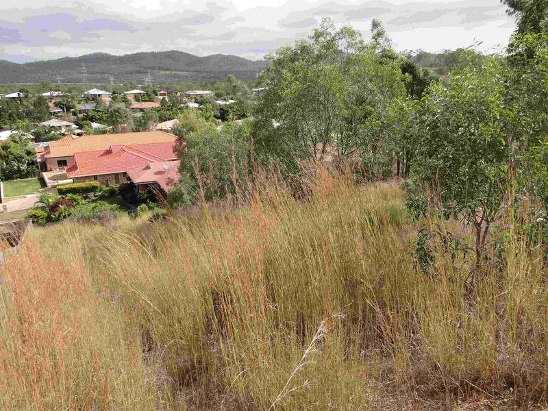 11 Maraboon Court, Gladstone QLD 4680