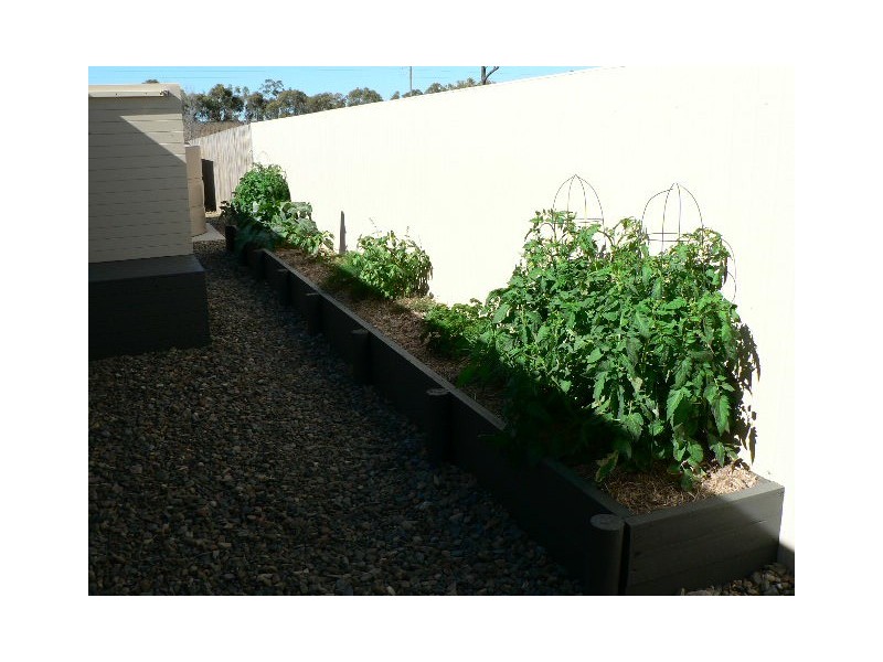 41 Cavella Drive, Gladstone QLD 4680