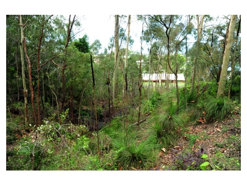 20 Dame Pattie Avenue, Clinton QLD 4680