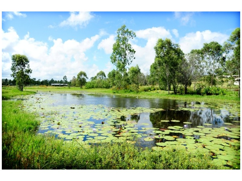 36 Jim Whyte Way, Gladstone QLD 4680